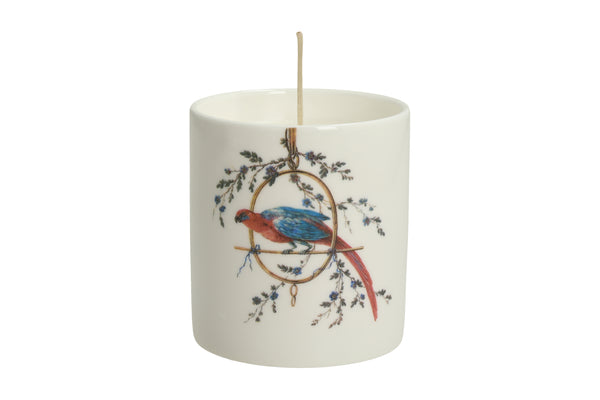 Bone China Candle ''Le Perroquet'' - House of Castlebird Rose