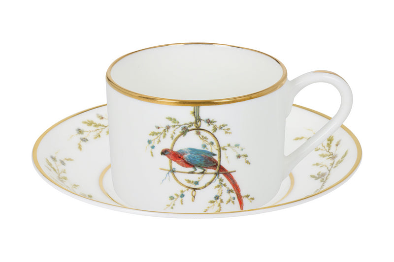 Bone China Cup and Saucer “Le Perroquet” - House of Castlebird Rose